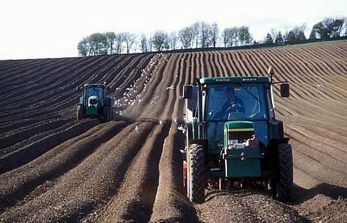 Farm Images